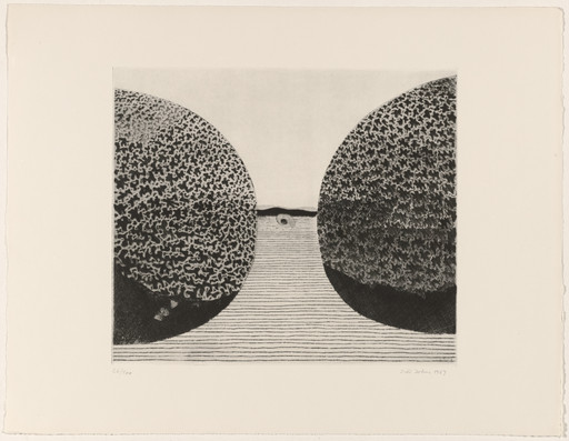 The Coast from Eastern European Prints