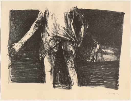 The Occupant from Images from a Locked Ward
