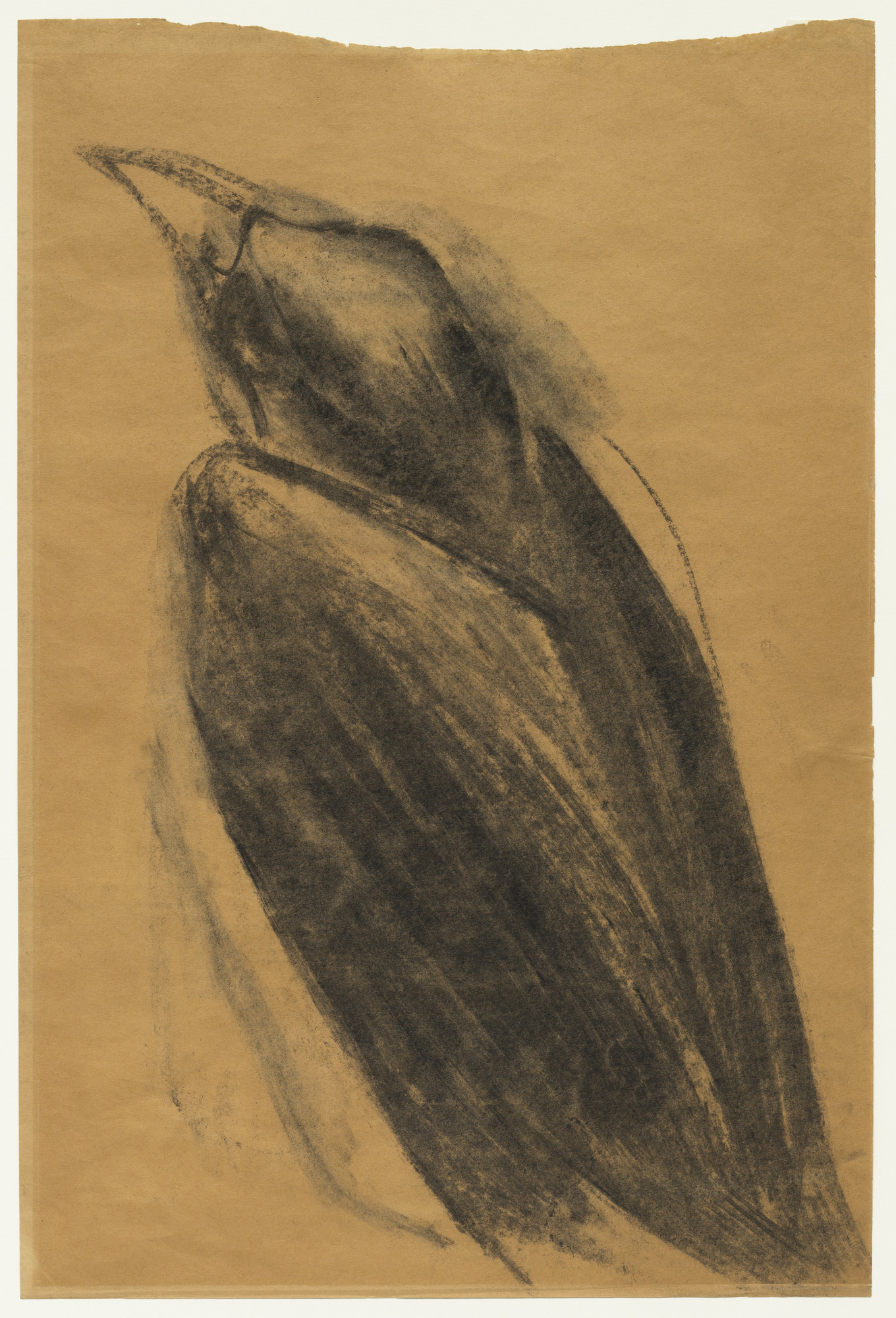 Morris Graves. Crow