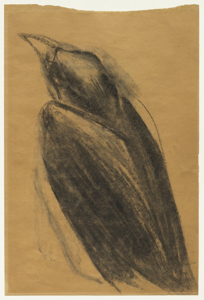 Crow