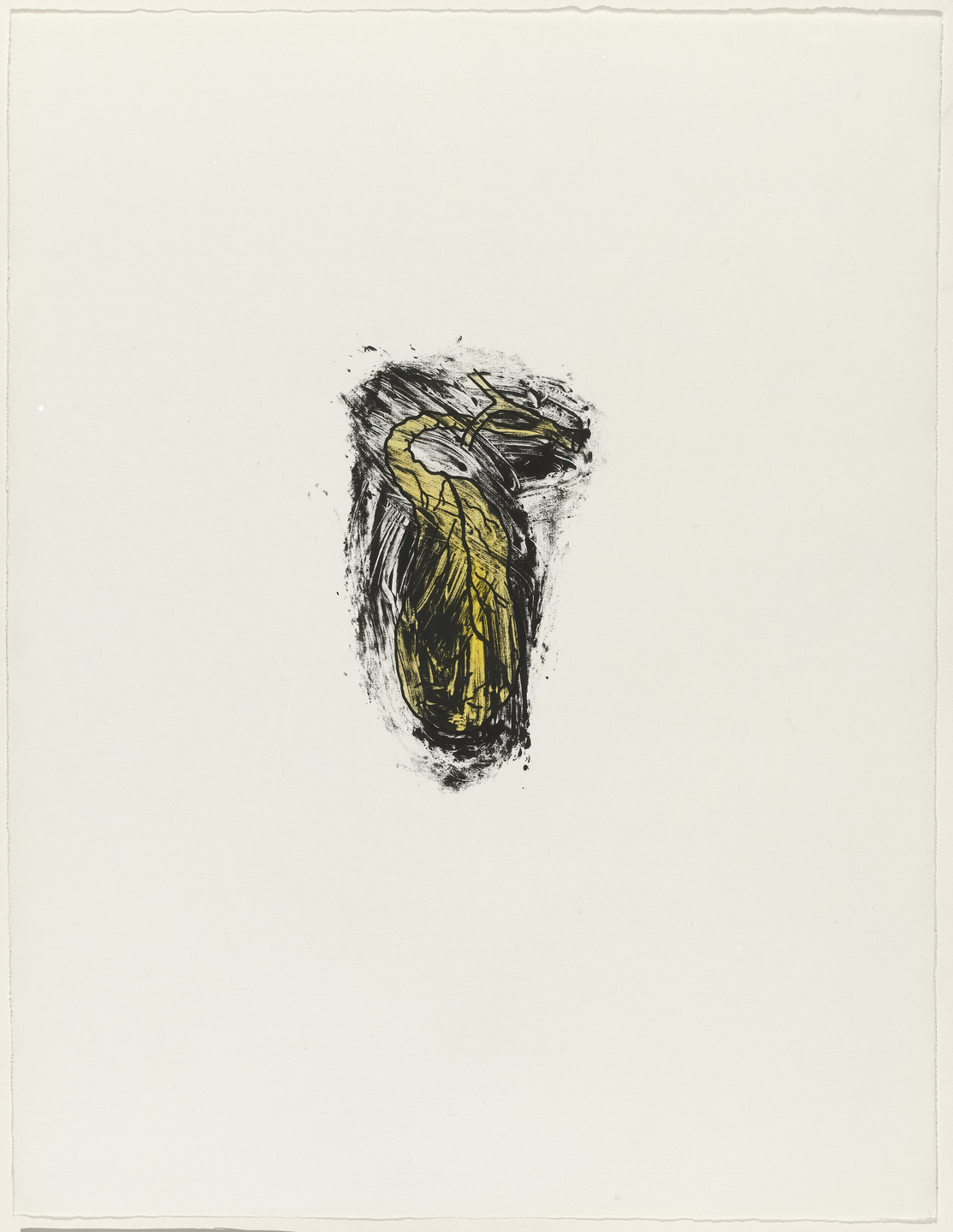 Kiki Smith. Gallbladder from Possession Is Nine-Tenths of the Law. 1985