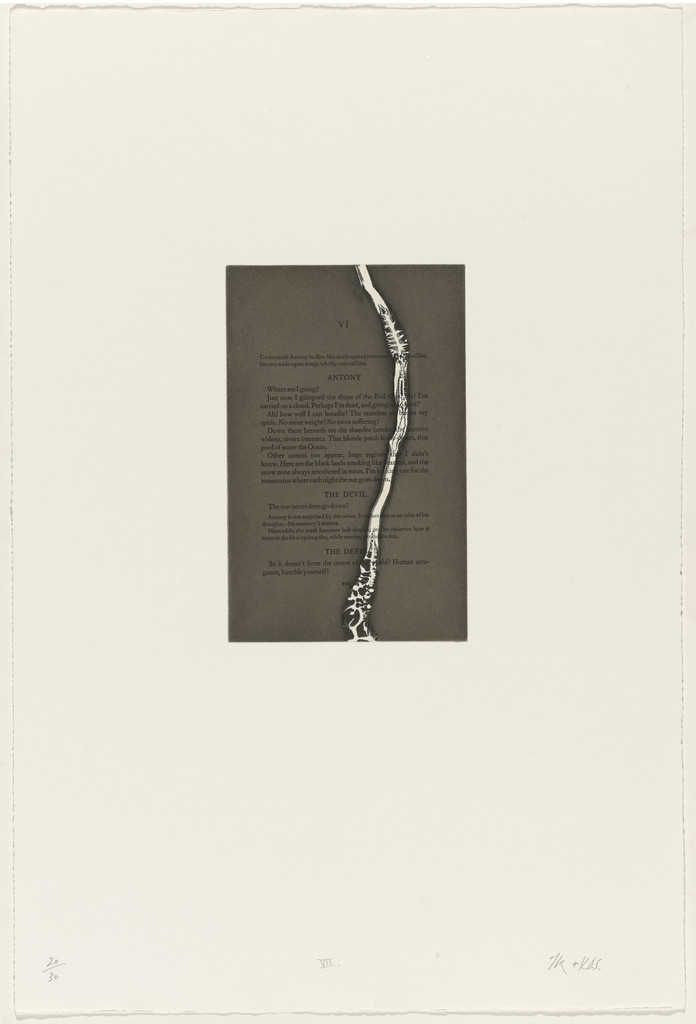 VII from The Temptation of Saint Antony I-XIV