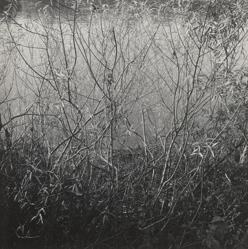 Alexander Slussarev. Untitled