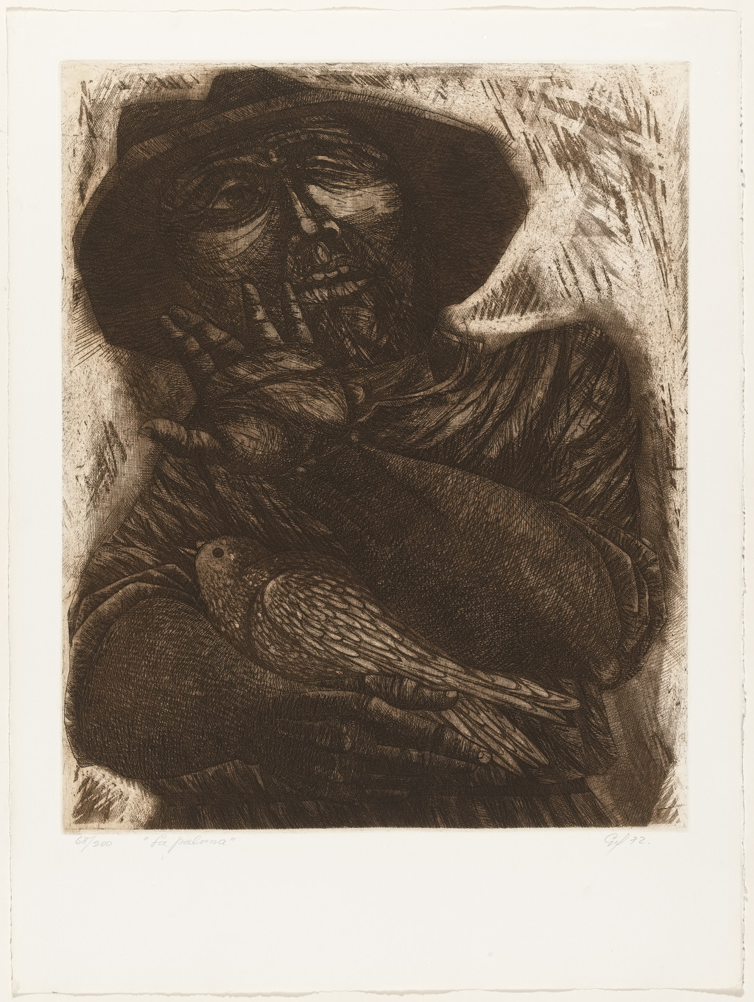 Anibal Gil. The Dove (La Paloma) from 21 Printmakers from Colombia, Mexico and Venezuela (21 Estampadores de Colombia, Mexico y Venezuela). 1972