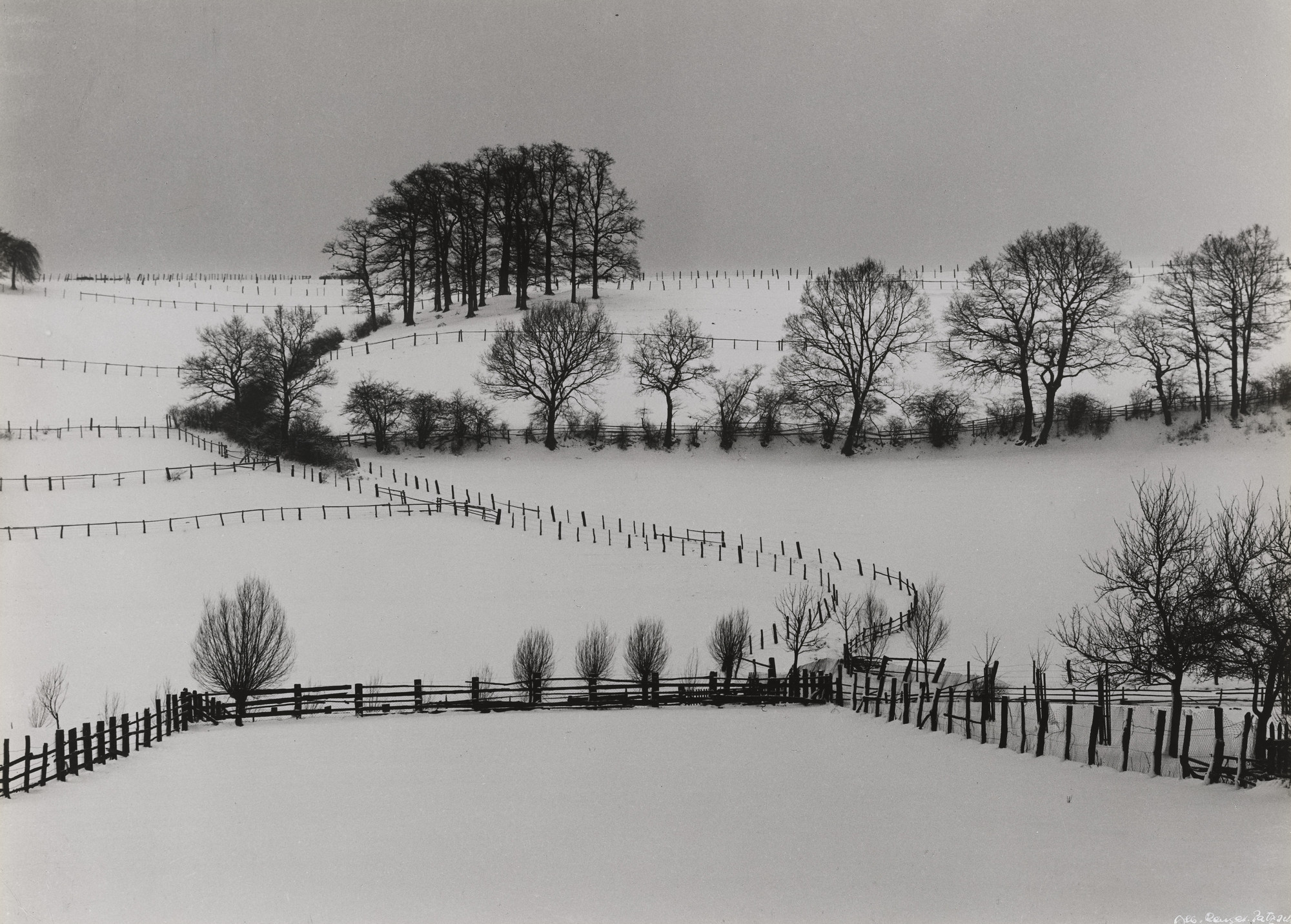 Albert Renger-Patzsch. Winter Landscape with Oak Grove, Wamel