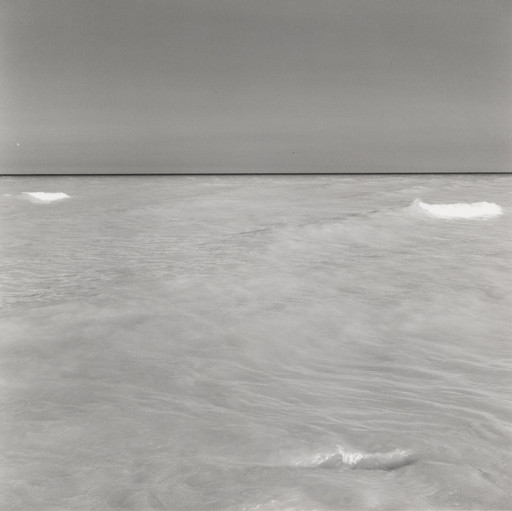 Steven D. Foster. Untitled from The Lake Series