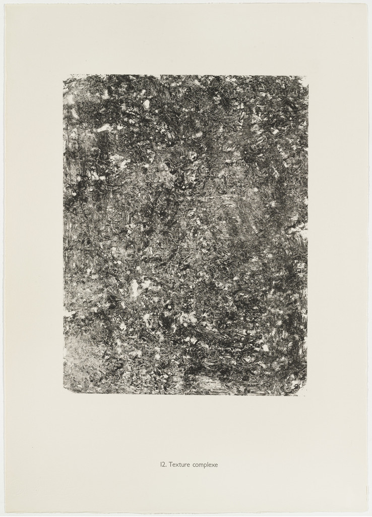 Complex Texture (Texture complexe) from the portfolio Continuation of Inventory (Suite d'inventaire) from Phenomena (Les Phénomènes)