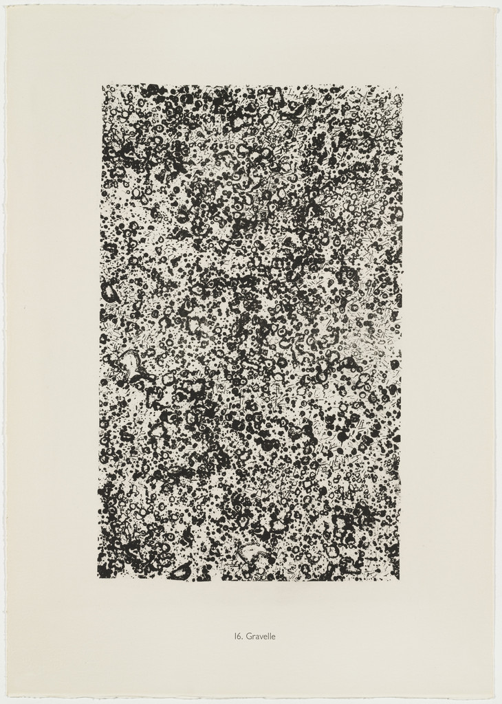 Gravel (Gravelle) from the portfolio Continuation of Inventory (Suite d'inventaire) from Phenomena (Les Phénomènes)