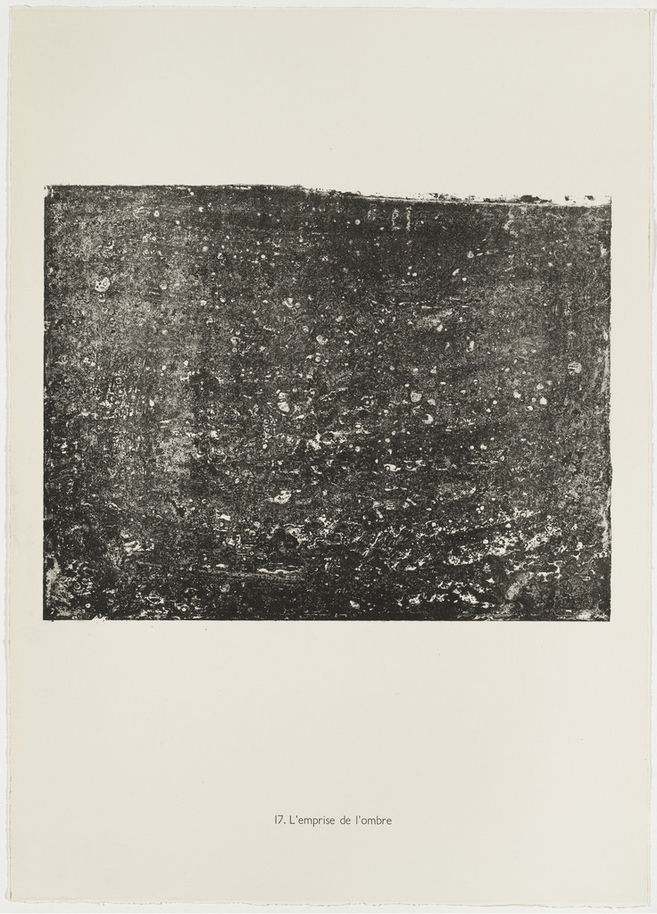 The Influence of Shadow (L'Emprise de l'ombre) from the portfolio Continuation of Inventory (Suite d'inventaire) from Phenomena (Les Phénomènes)