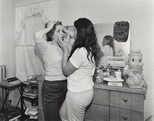 Installation View Of The Exhibition Pleasures And Terrors Of