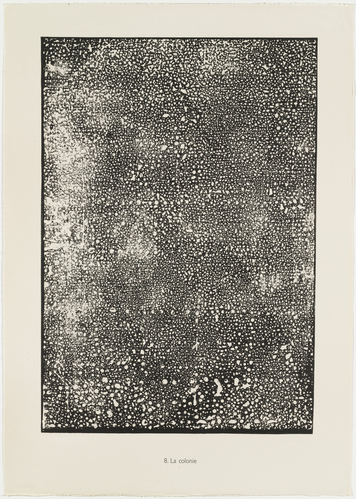 Colony (La Colonie) from the portfolio Continuation of Inventory (Suite d'inventaire) from Phenomena (Les Phénomènes)