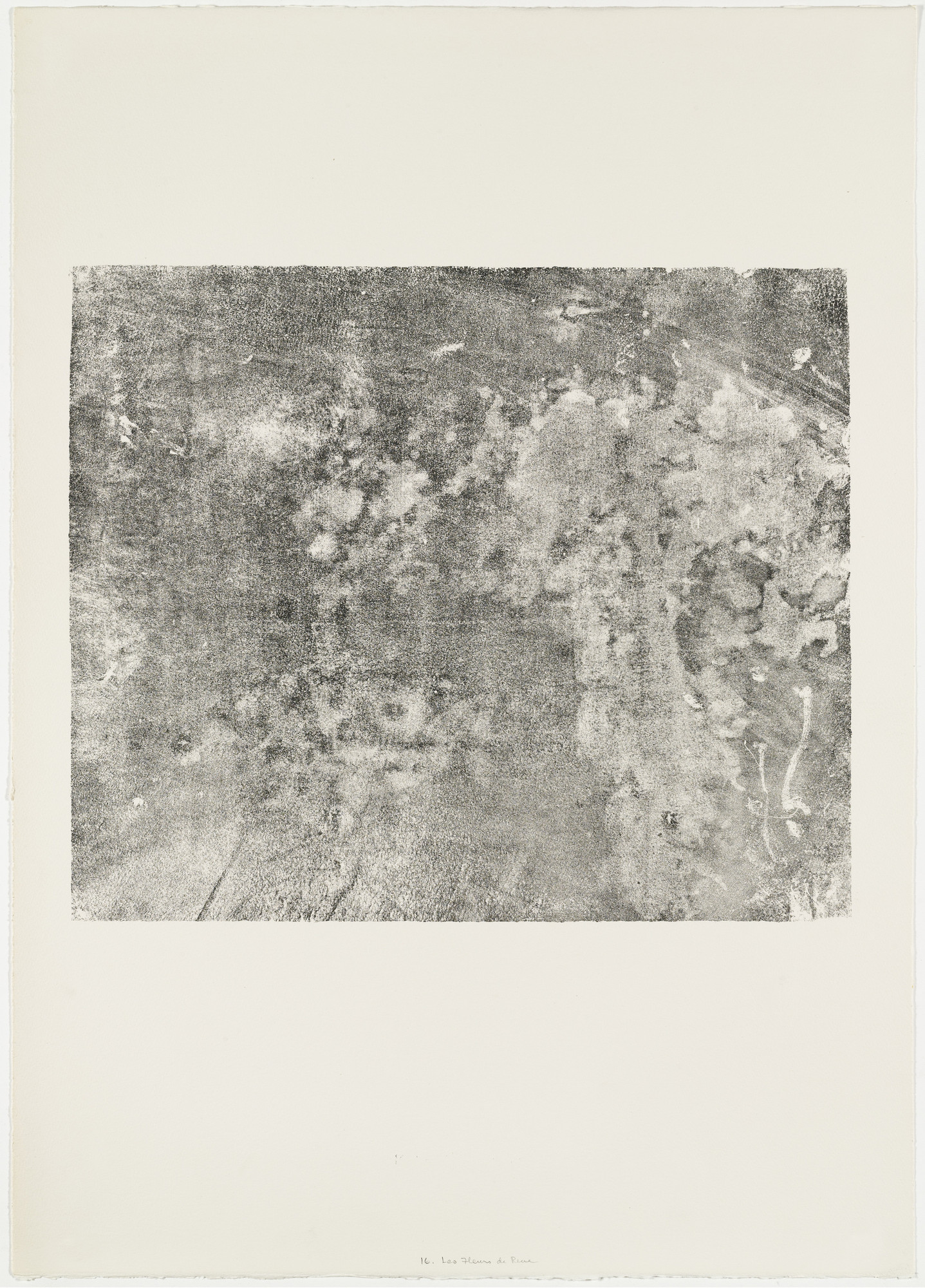 Jean Dubuffet. Dream Flowers (Les Fleurs du rêve) from the