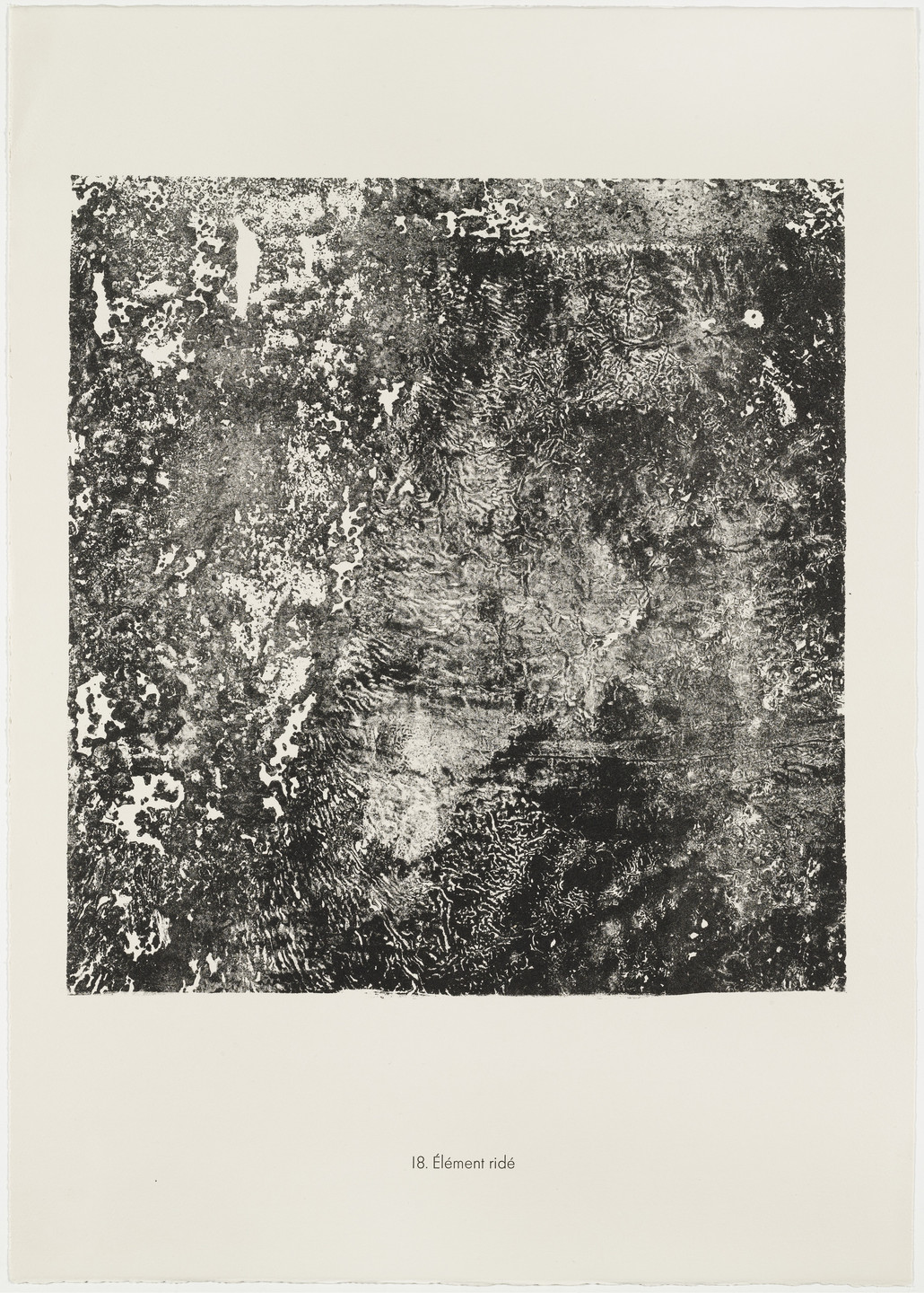 Jean Dubuffet. Wrinkled Element (Élément ridé) from the portfolio Soil, Earth (Sols, terres) from Phenomena (Les Phénomènes). 1959