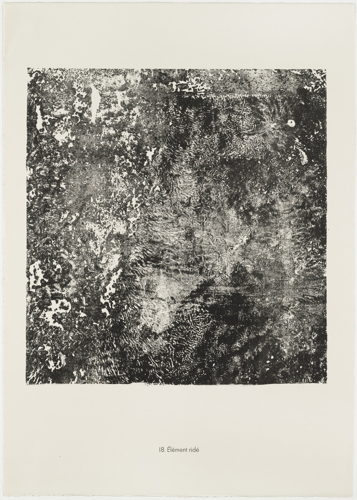Wrinkled Element (Élément ridé) from the portfolio Soil, Earth (Sols, terres) from Phenomena (Les Phénomènes)