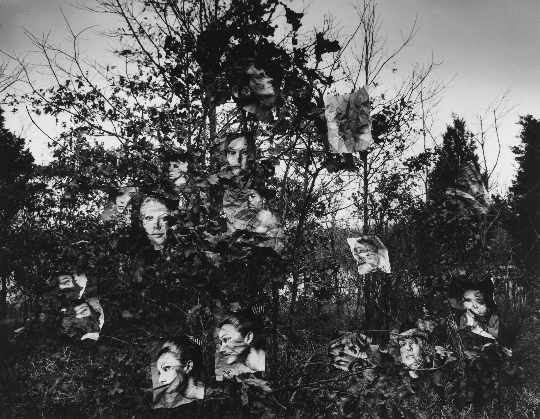 Murray Riss. Faces in Tree #1. 1968