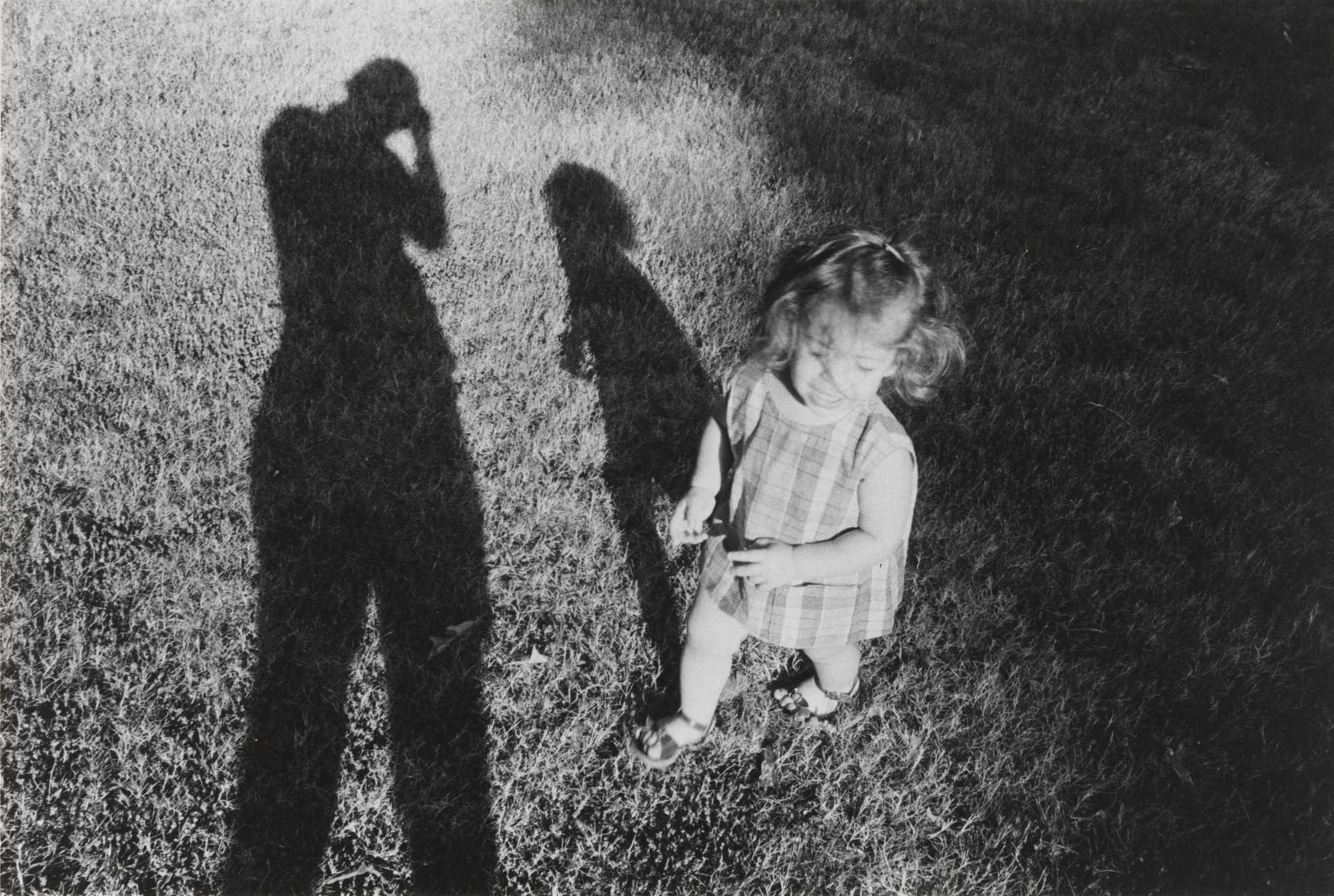 Murray Riss. Shanna. 1968