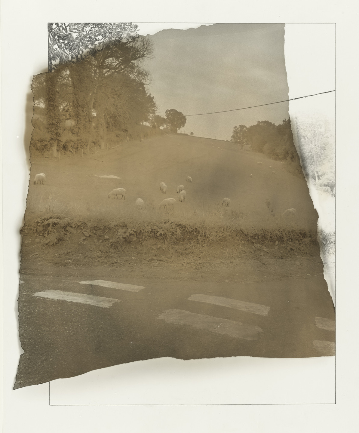 Benno Friedman. Untitled. 1979