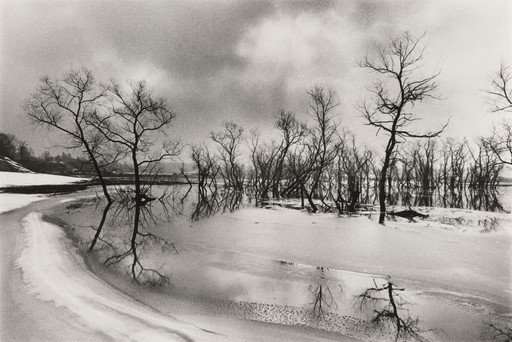 Wetlands