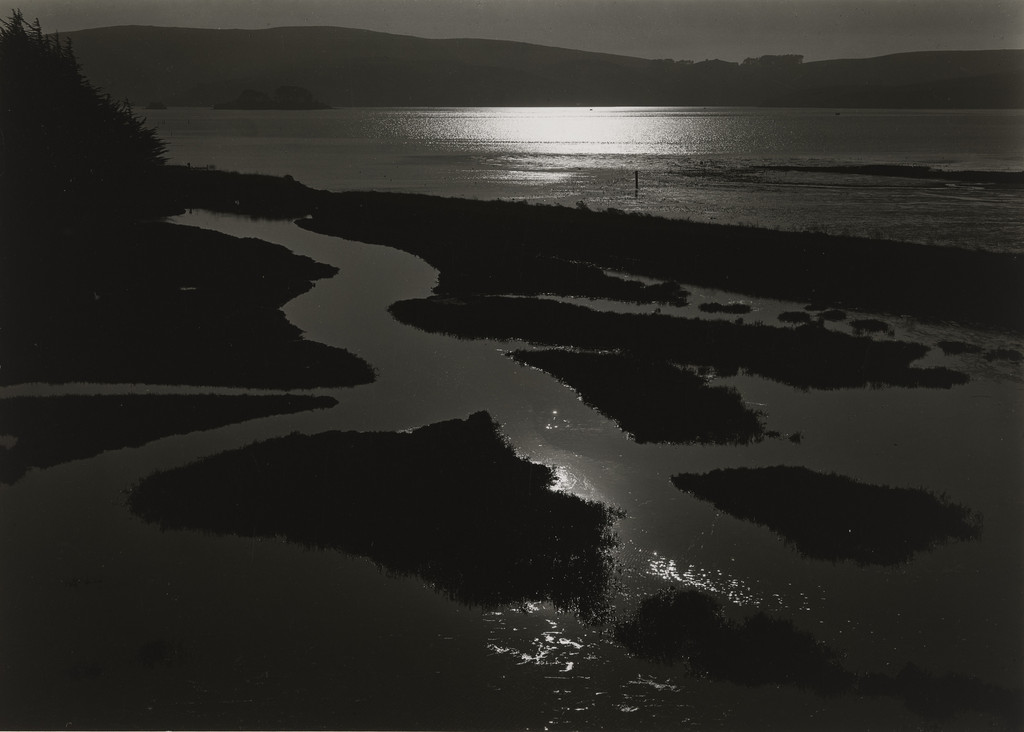 Tomales Bay