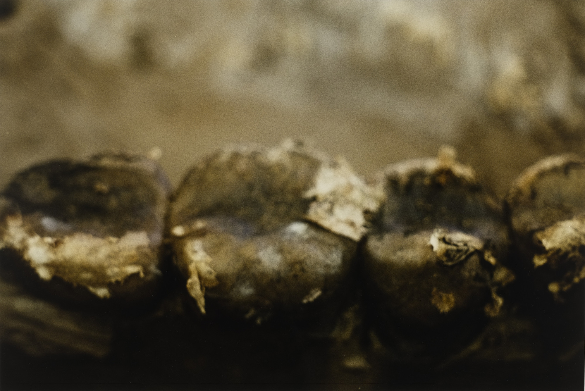 Kiki Smith. Untitled. 1996