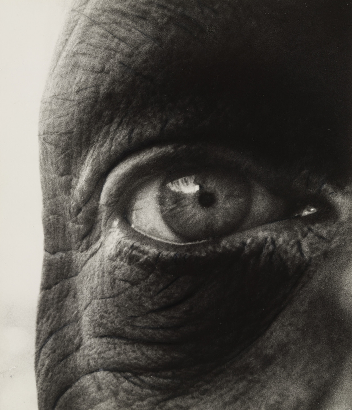 Bill Brandt. Jean Dubuffet. 1960