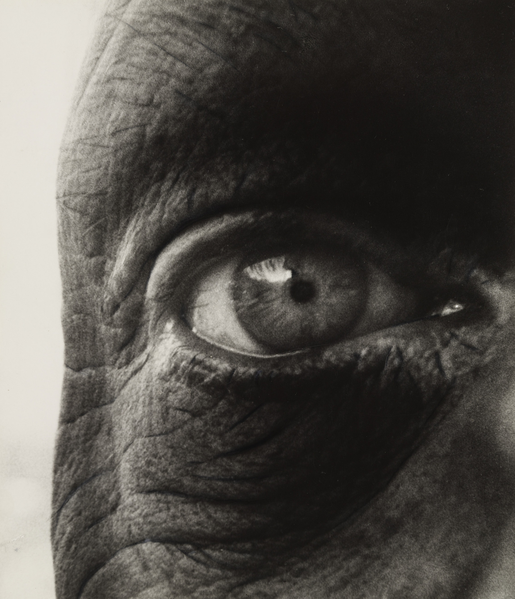 Bill Brandt. Jean Dubuffet. 1960 | MoMA