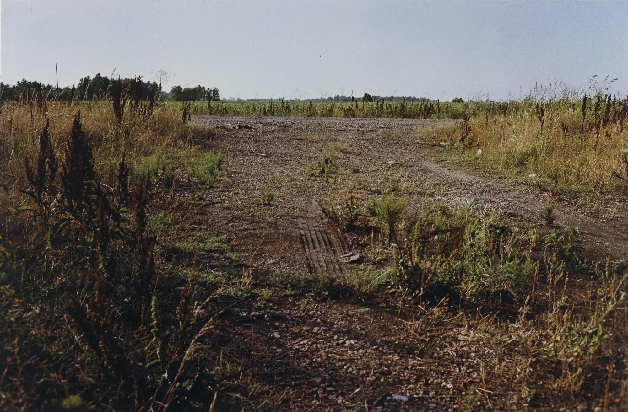 William Eggleston. Untitled