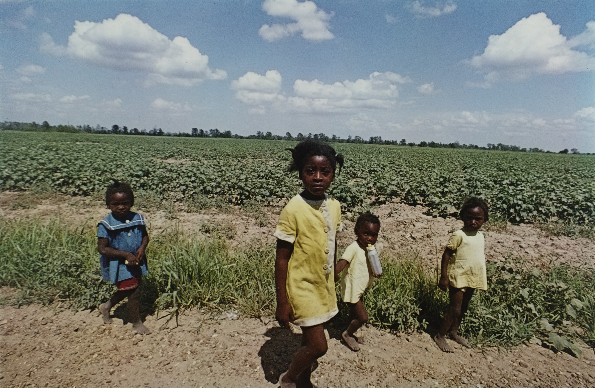 William Eggleston. Untitled