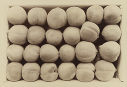 Carleton E. Watkins. Late George Cling Peaches. 1889