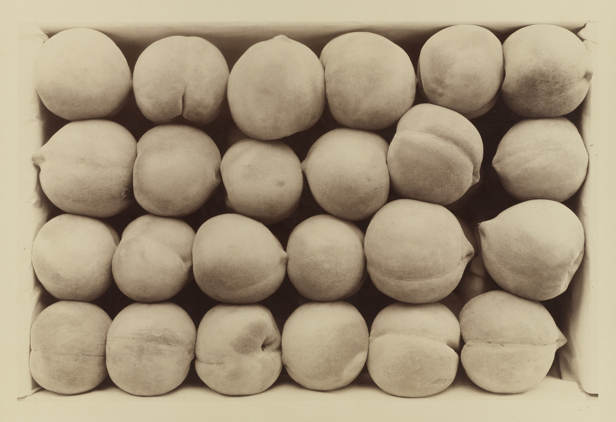 Carleton E. Watkins. Late George Cling Peaches. 1889