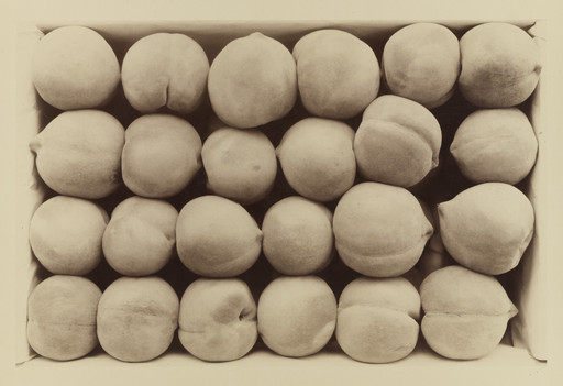 Carleton E. Watkins. Late George Cling Peaches. 1889