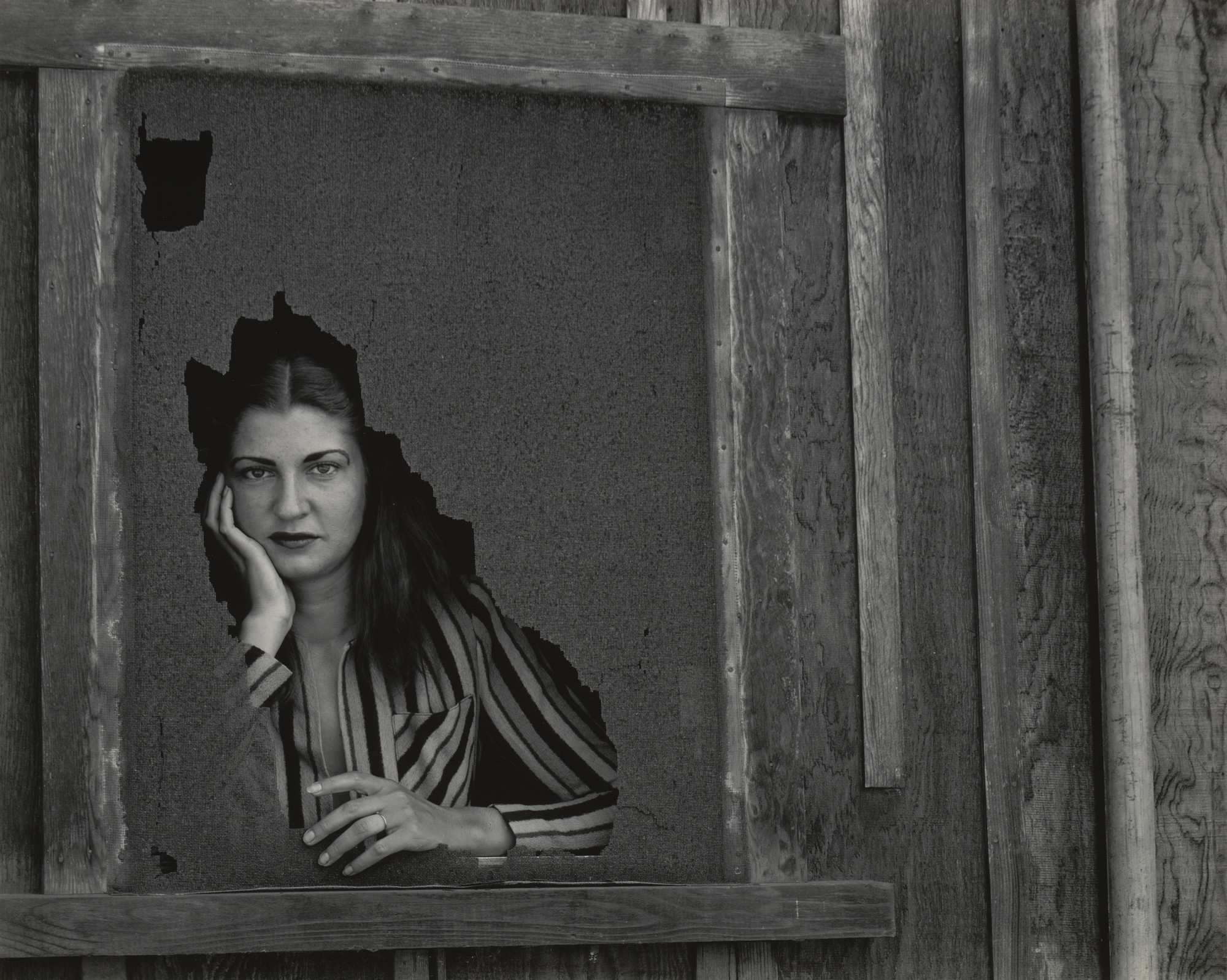 Edward Weston. Elsa Armitage