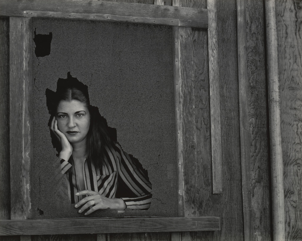 Elsa Armitage