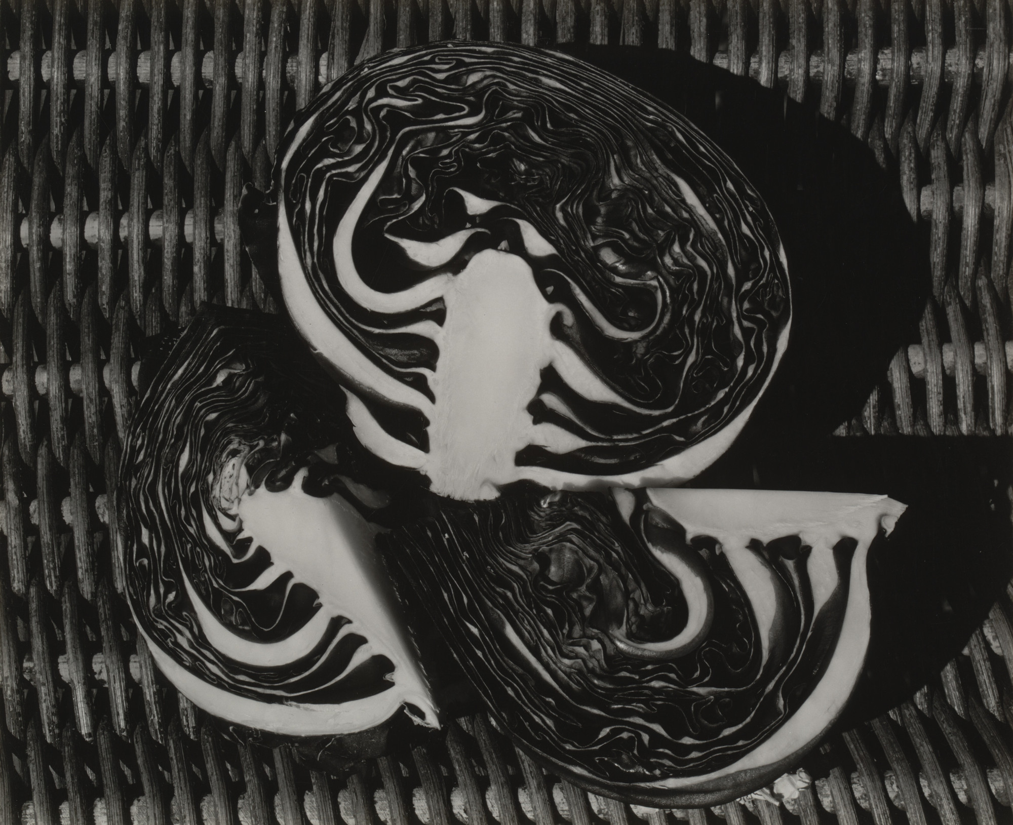 Edward Weston. Cabbage
