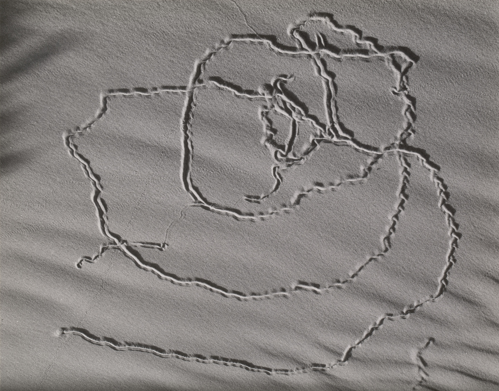Edward Weston. Bug Tracks on Sand, Oceano