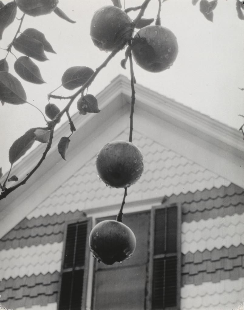 Apples and Gable, Lake George