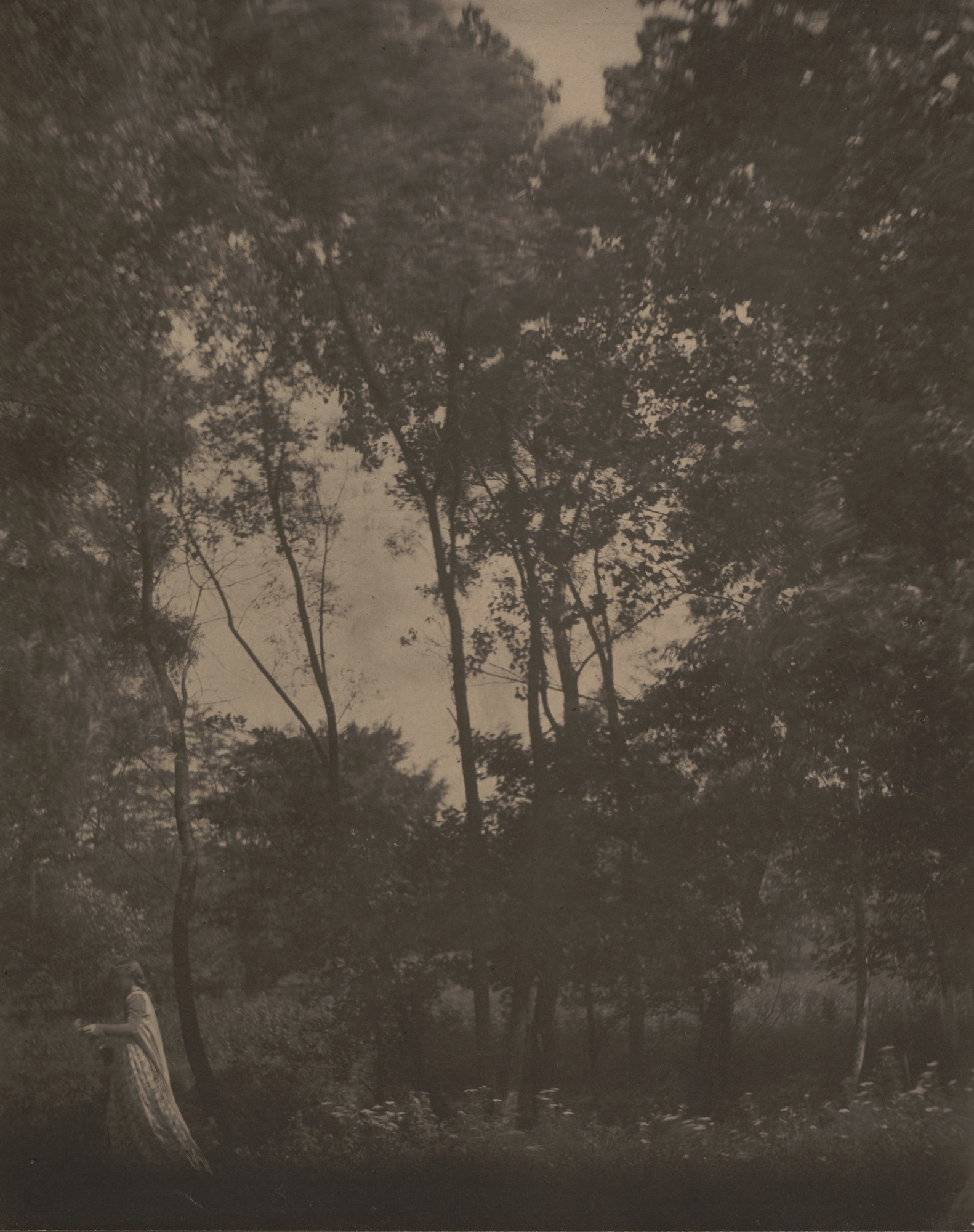 Clarence H. White. Landscape