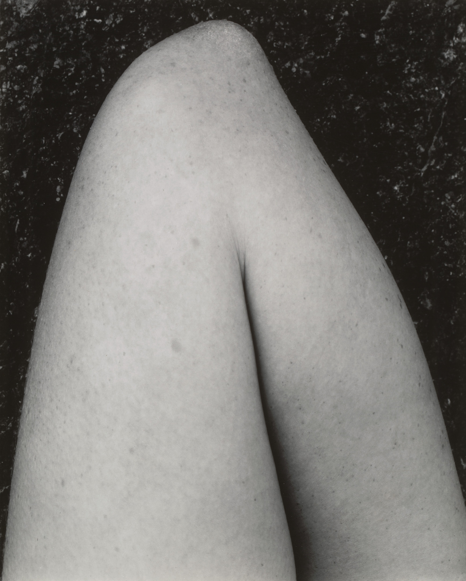 Edward Weston. Elbow
