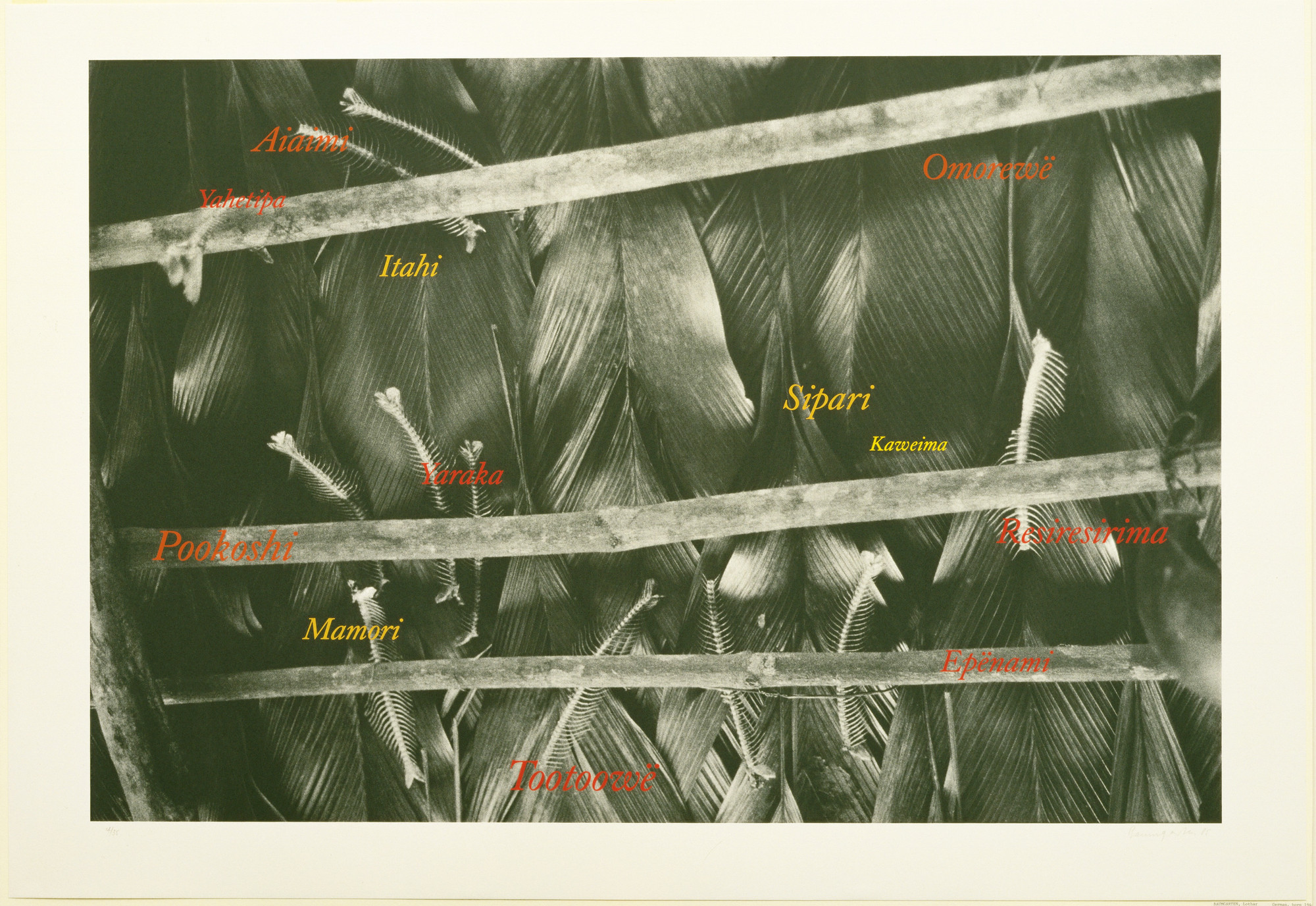 Lothar Baumgarten. Untitled (Fish). 1985