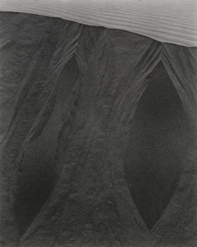 Dunes, Oceano