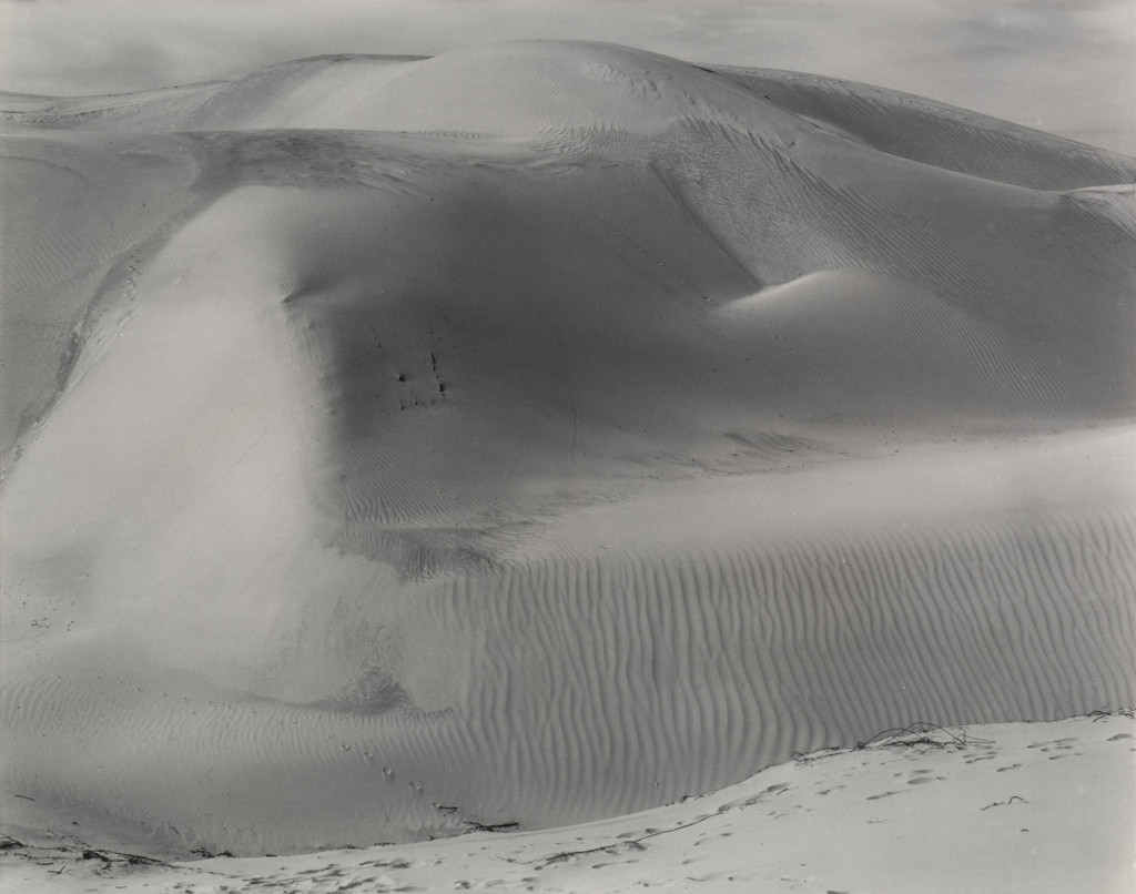 Dunes, Oceano