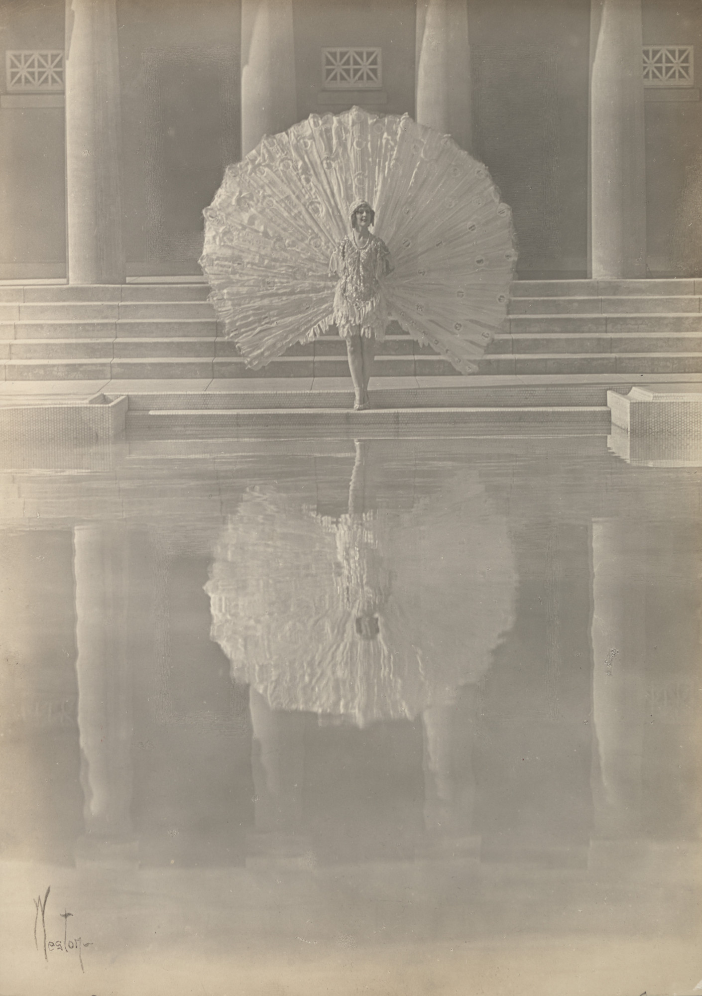 Edward Weston. The White Peacock