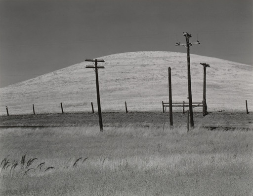 Edward Weston. Hills and Poles, Solano County. 1937