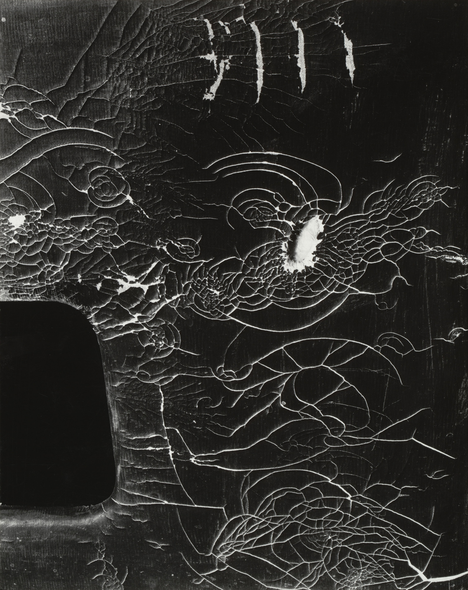 Edward Weston. Detail, Abandoned Car, Mojave Desert. 1937 | MoMA