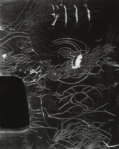 Edward Weston. Detail, Abandoned Car, Mojave Desert. 1937
