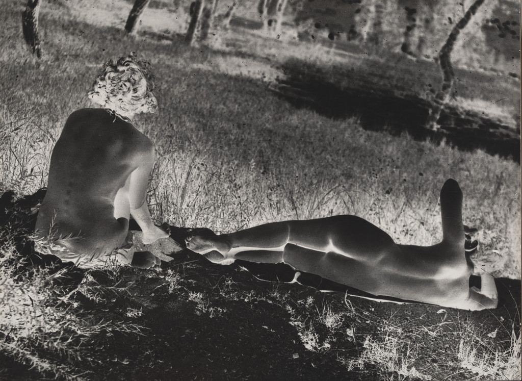 Nudes on the Grass