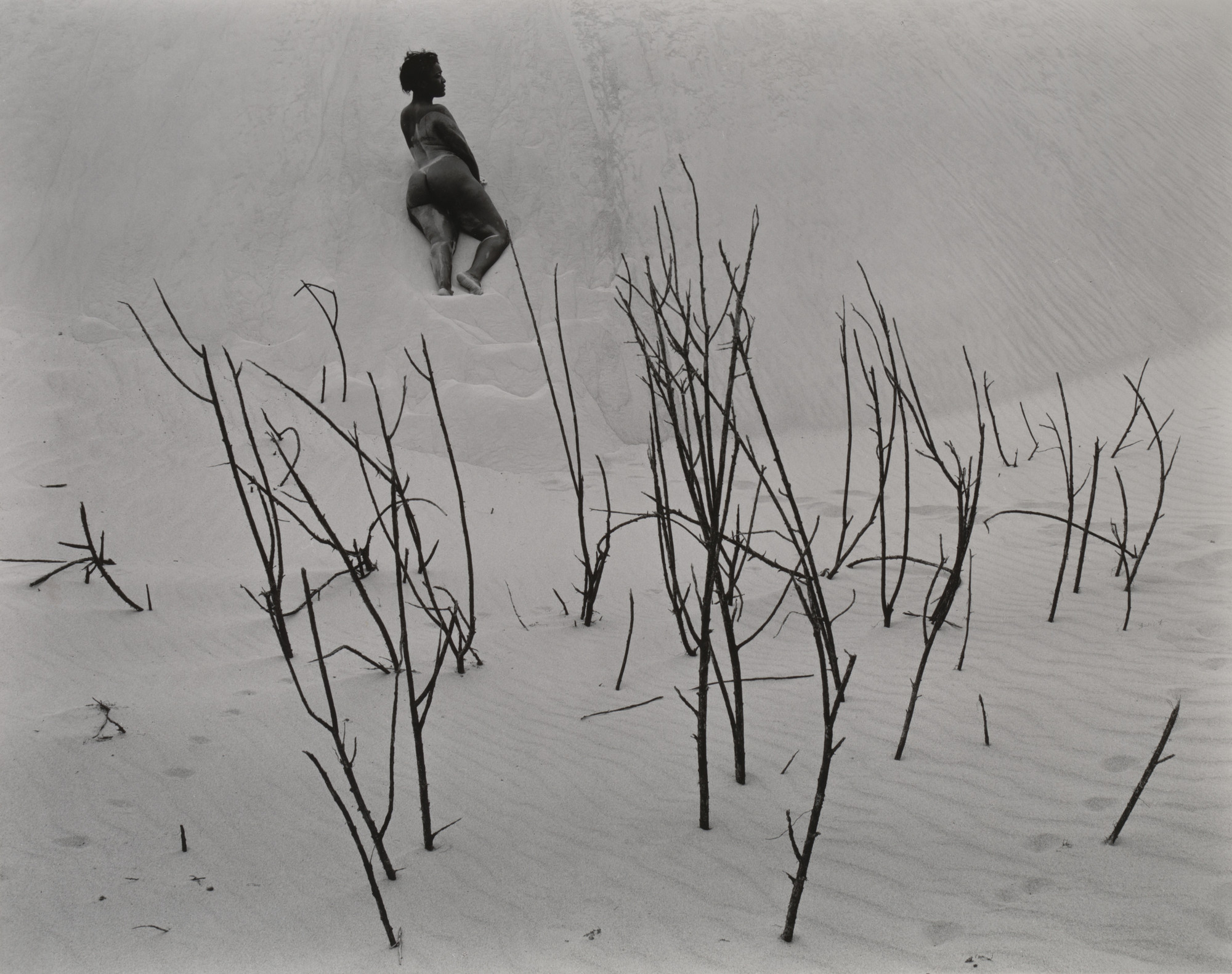 Edward Weston. Nude in Dunes