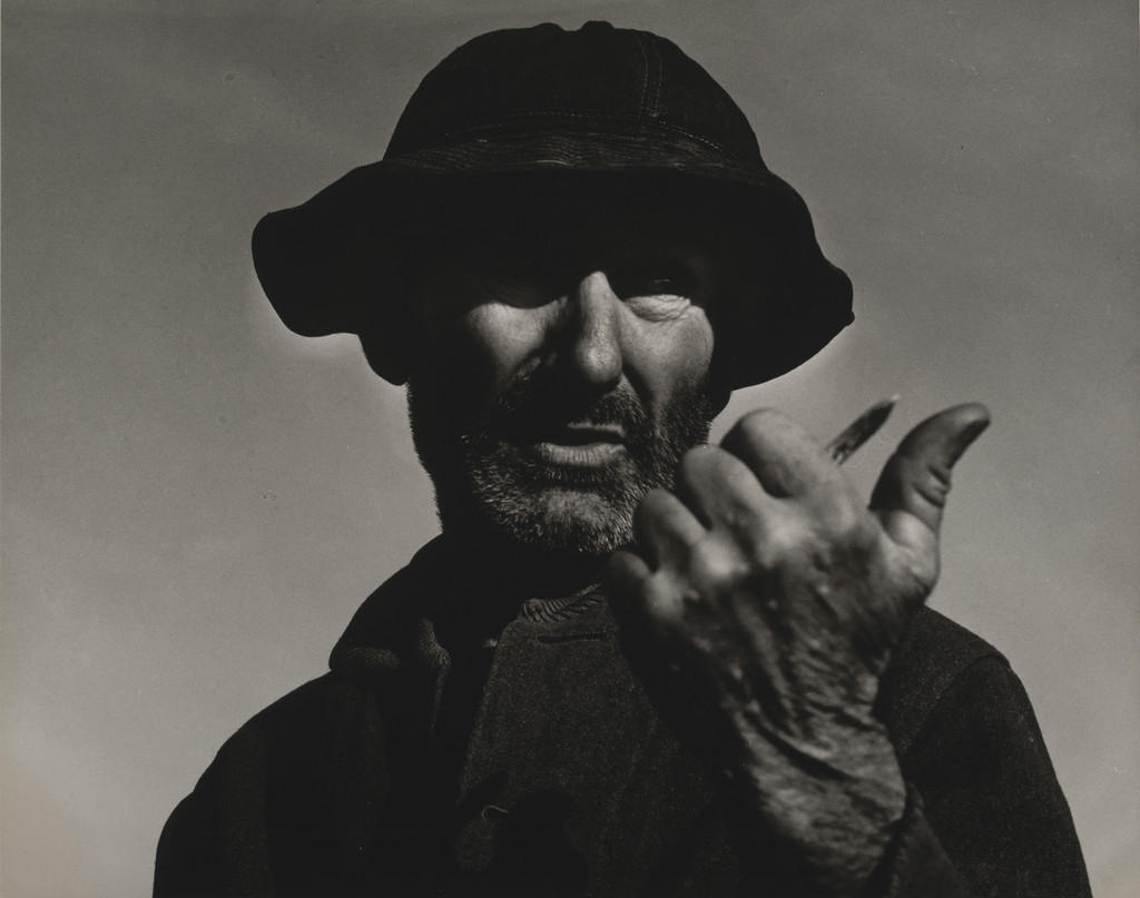 Cotton picker near Firebaugh, California