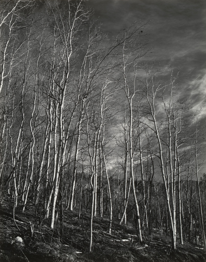 Aspen Valley, New Mexico