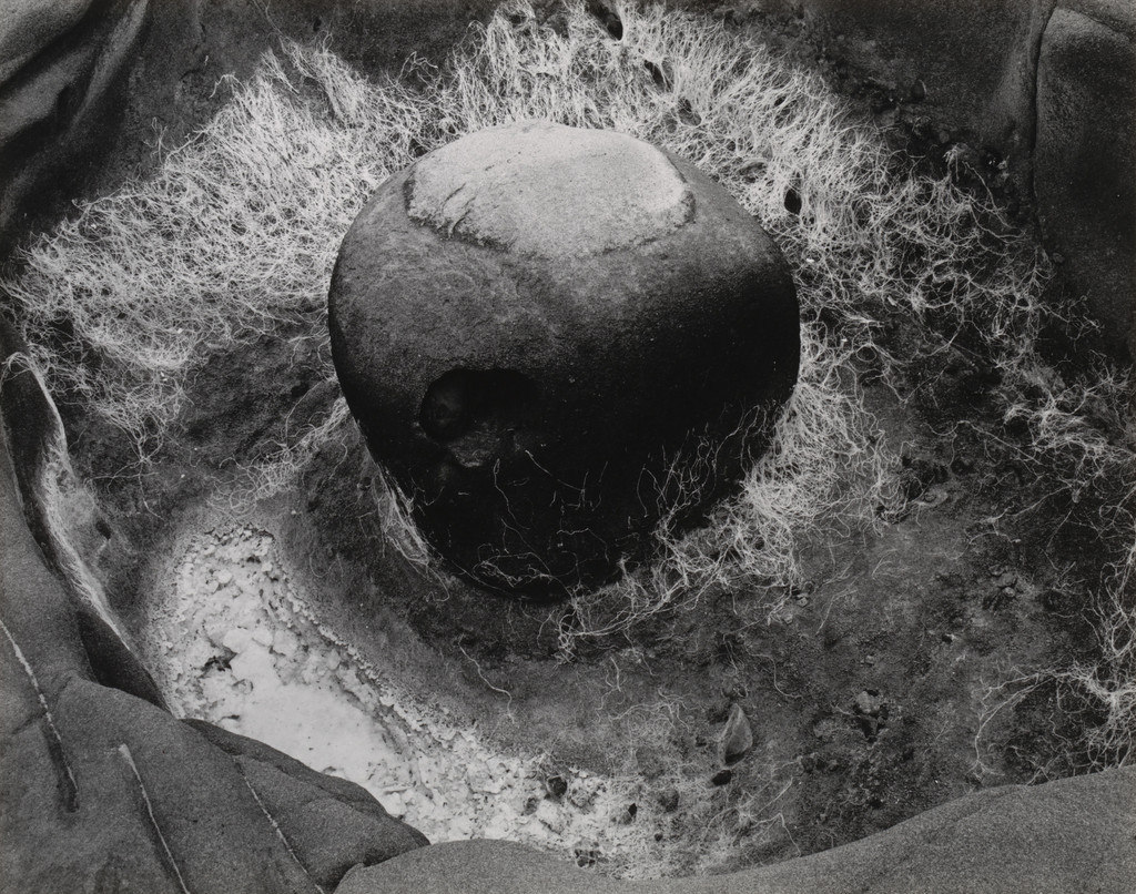 Dry Tide Pool, Point Lobos